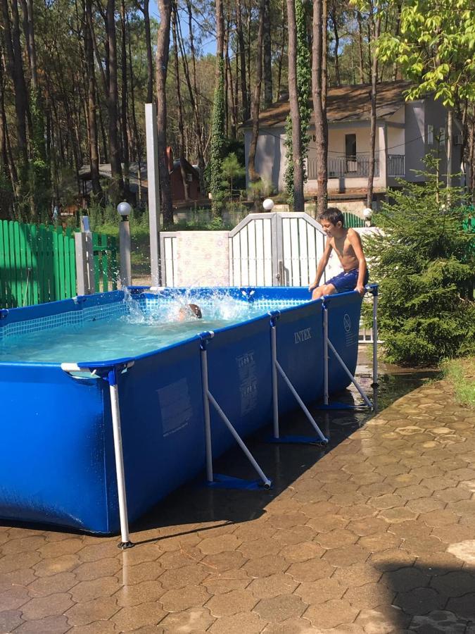 Hotel "Qeti" Шекветили Экстерьер фото