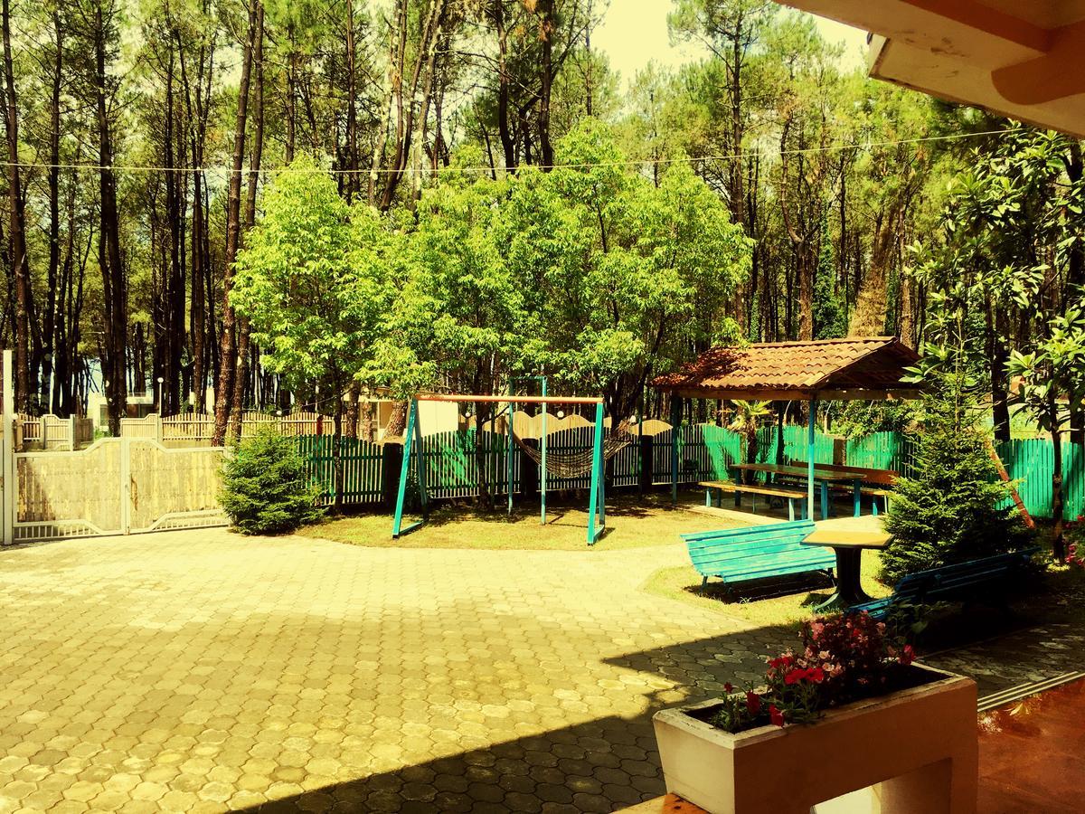 Hotel "Qeti" Шекветили Экстерьер фото
